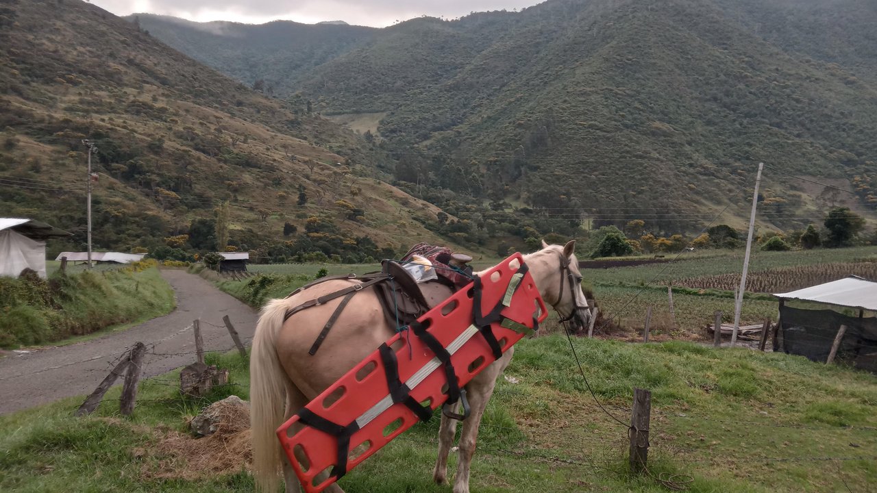 PARP1-0004-(1)_gallery