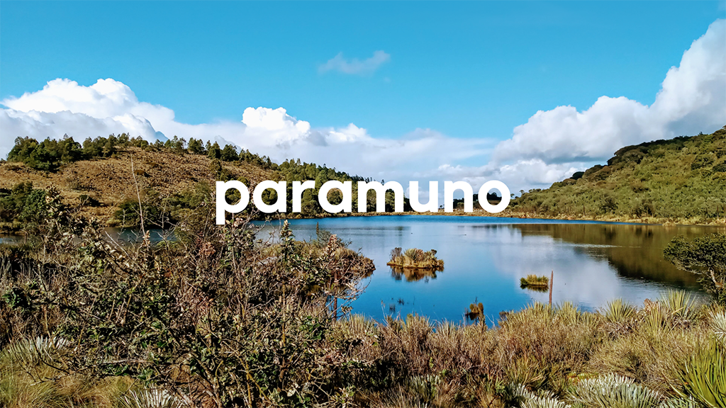 Paramuno Inicio - Compensave